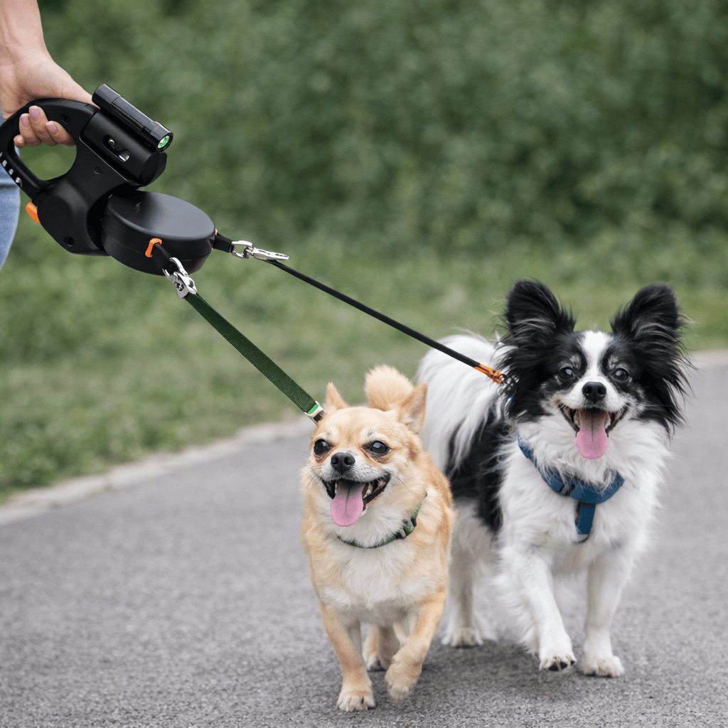 Laisse Enrouleur Chien