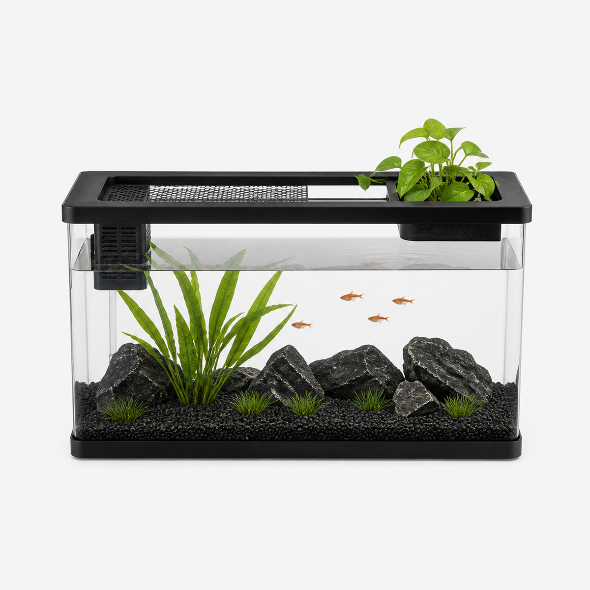 Aquarium Eau Douce