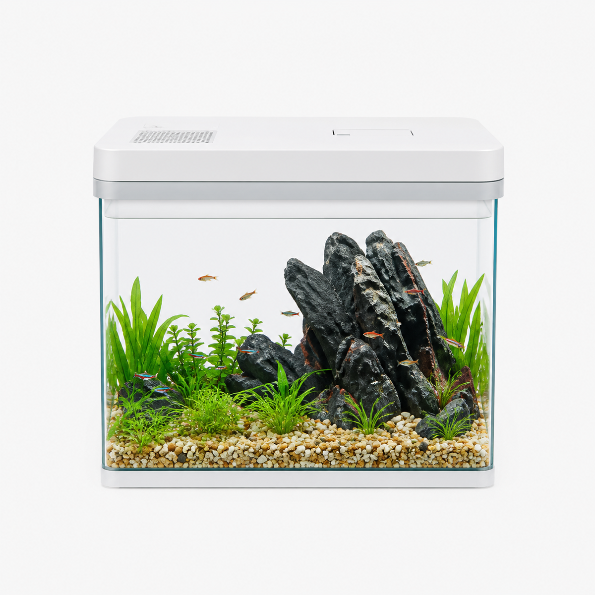 Kit Aquarium Débutant