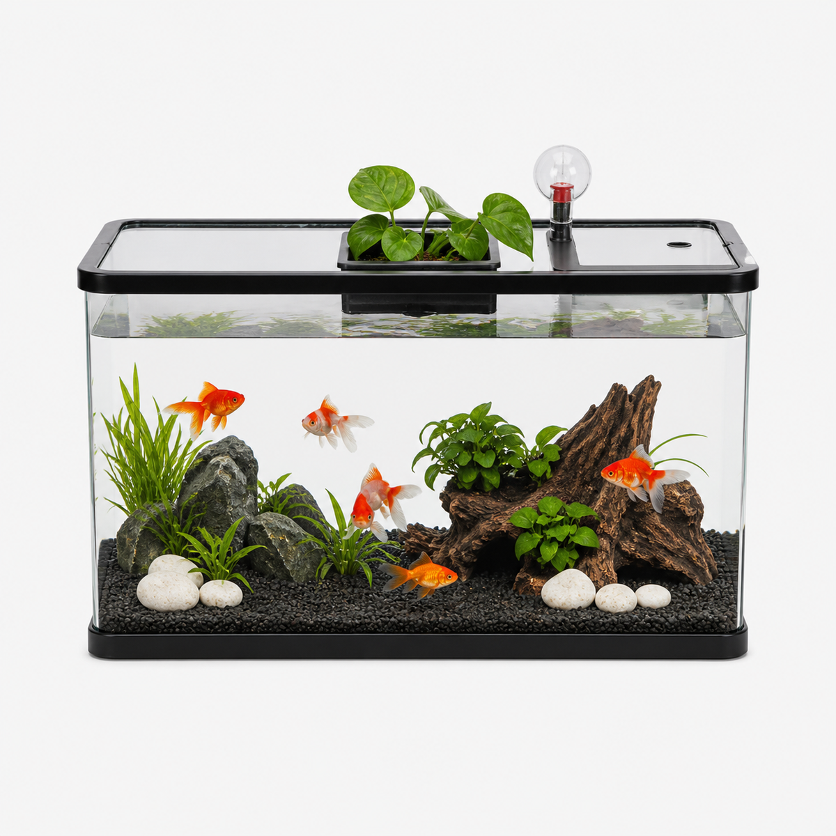 Aquarium Design Moderne