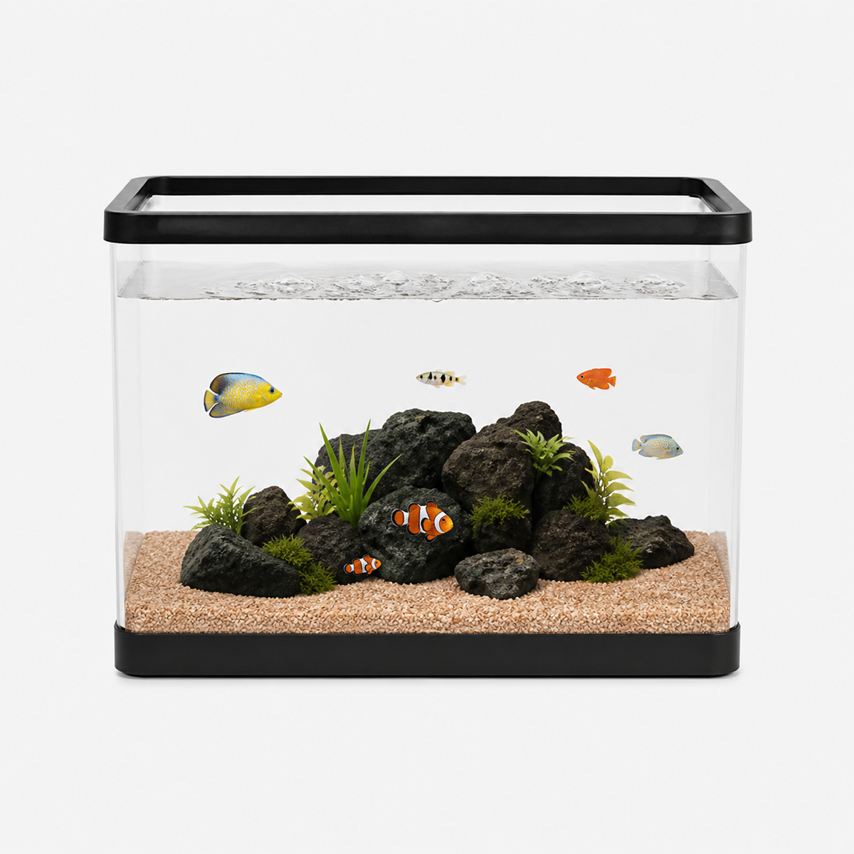 Aquarium Acrylique