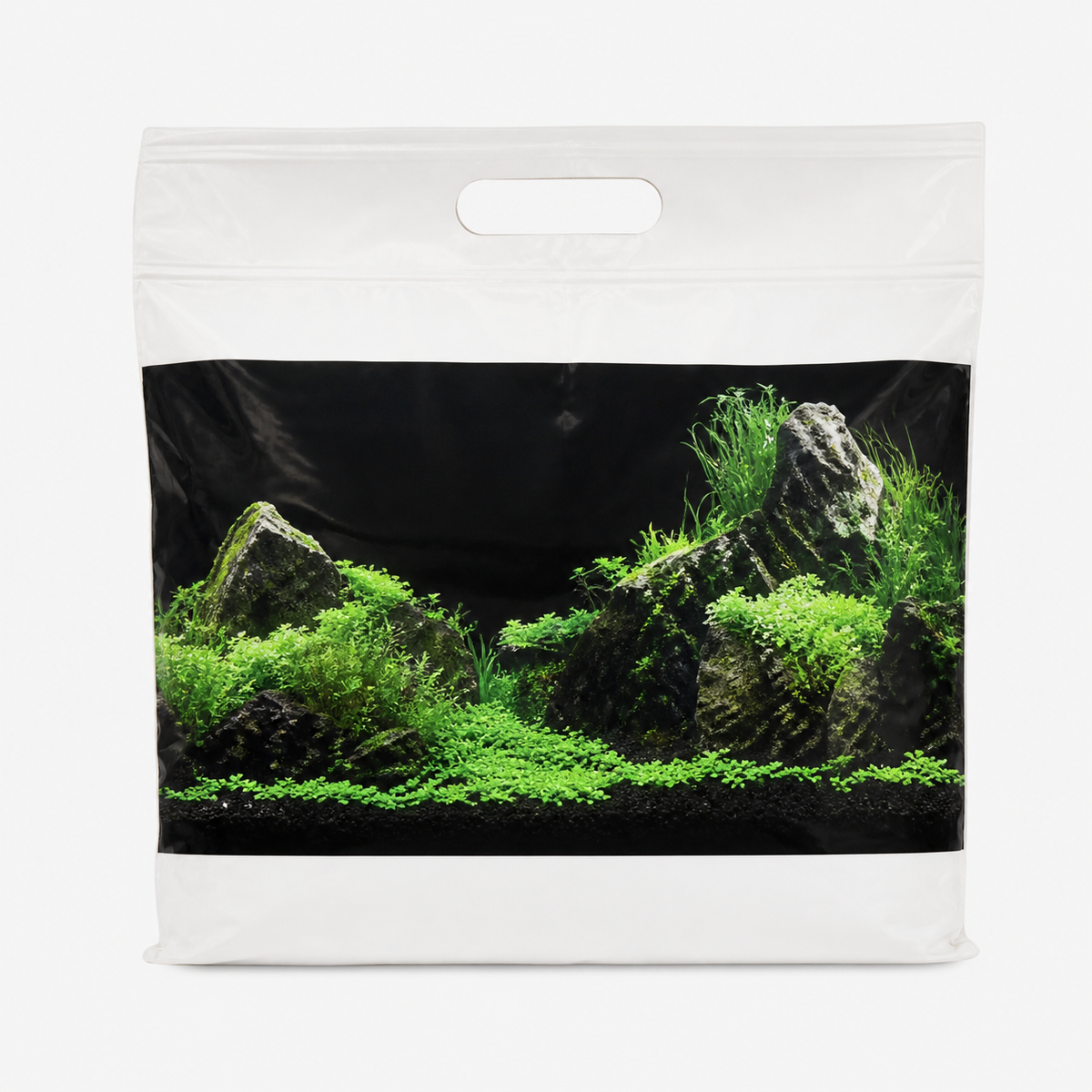 Fond Décoratif Aquarium