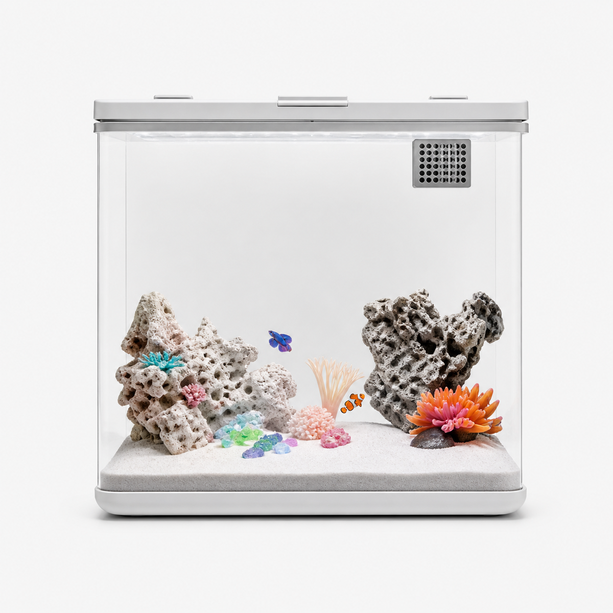 Aquarium Autonettoyant