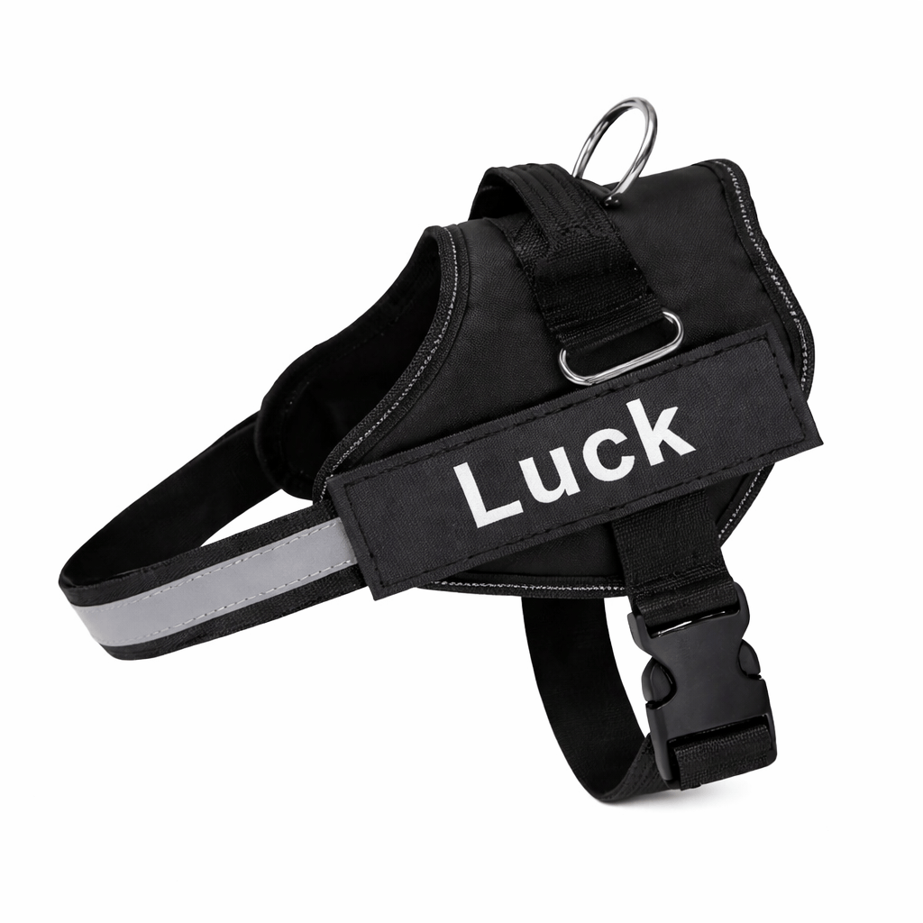 Harnais Anti Traction Chien