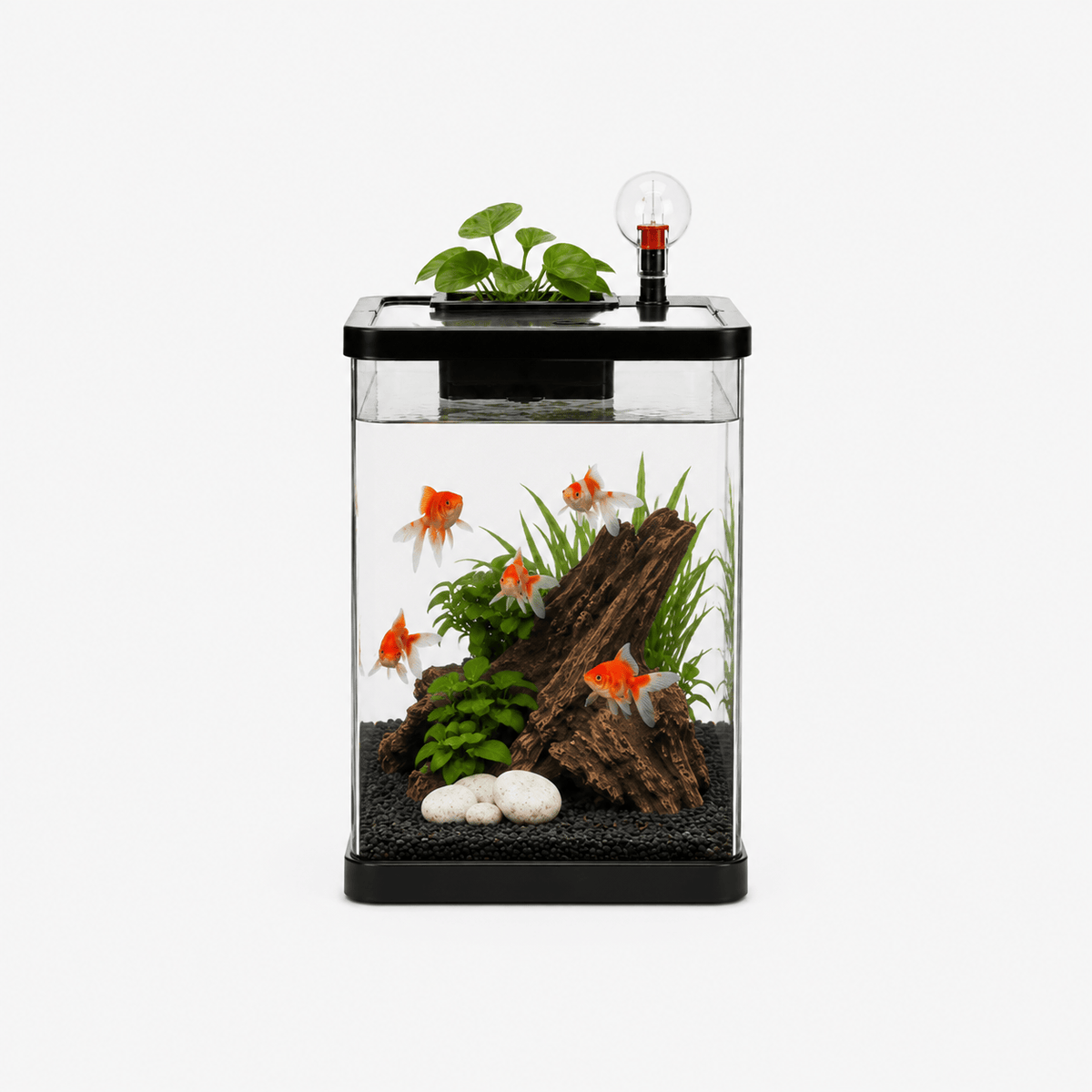 Aquarium Design Moderne