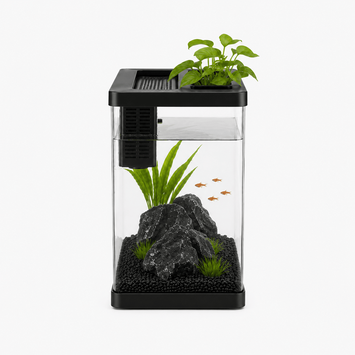 Aquarium Eau Douce