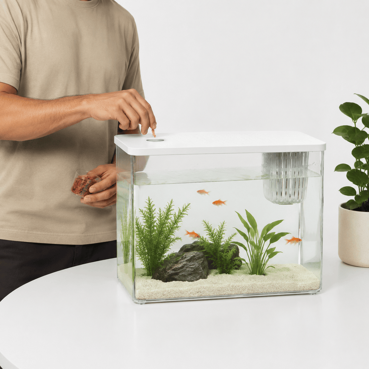 Aquarium Nano Complet