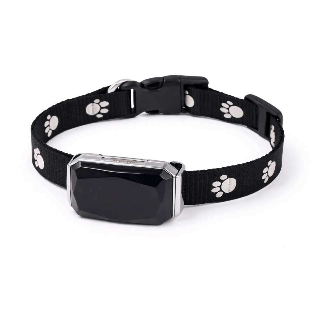 Collier Chat Anti Fugue