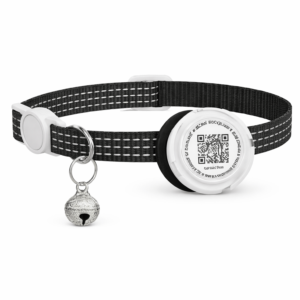 Collier GPS Chat