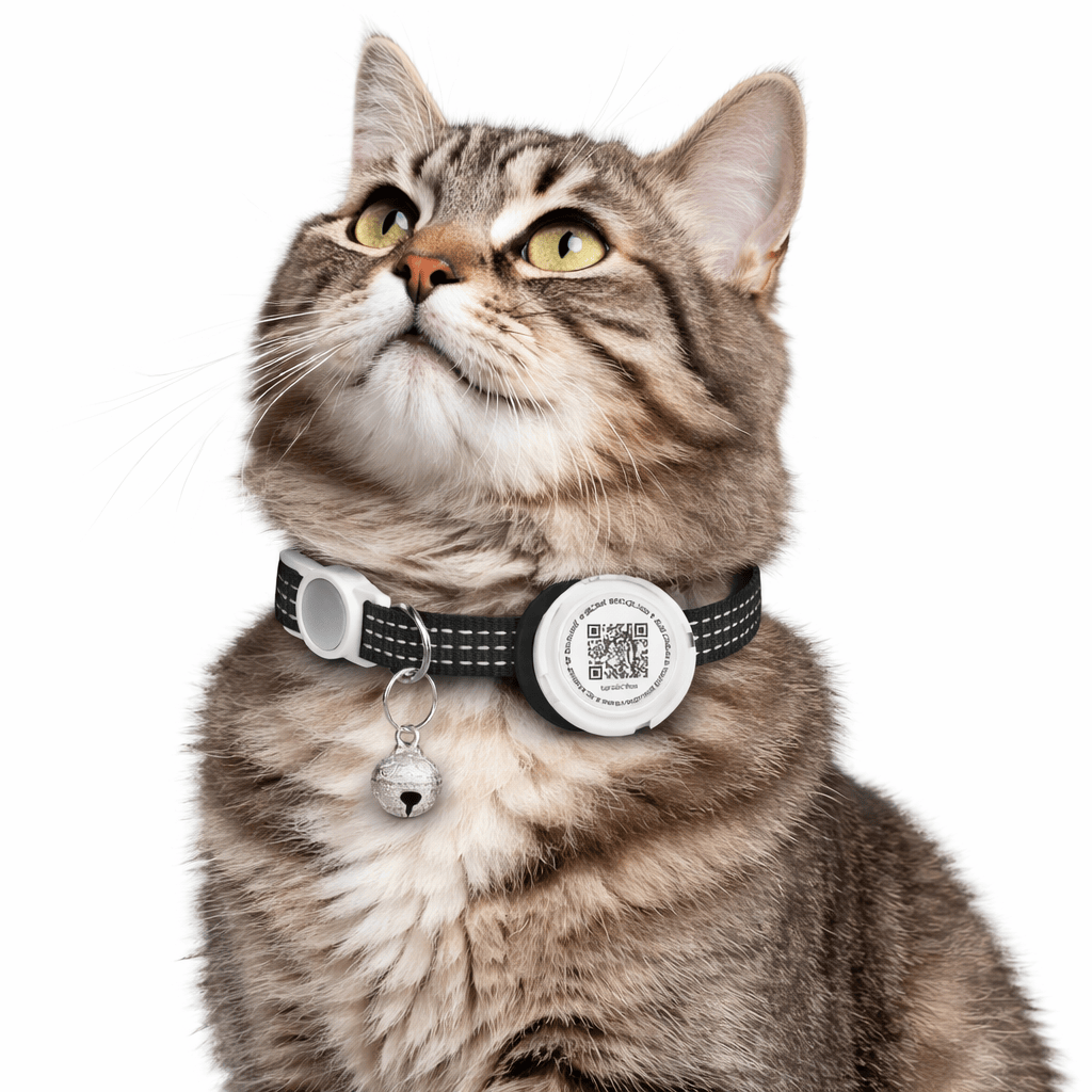 Collier GPS Chat