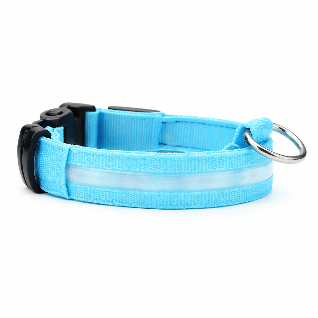Collier Lumineux LED Chien