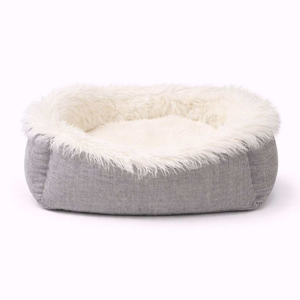 Coussin Chat Lavable
