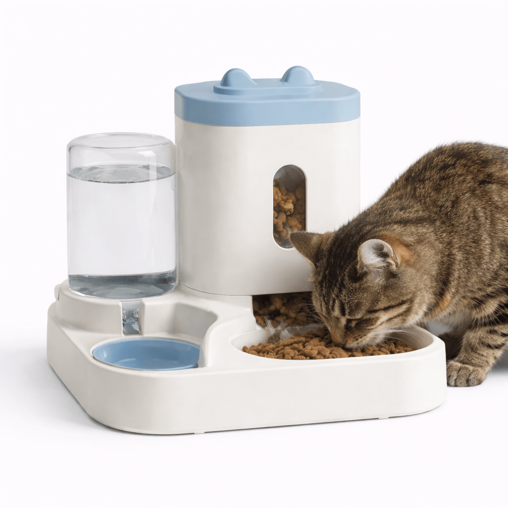 Distributeur Croquettes Automatique