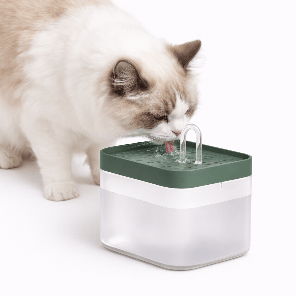 Distributeur Eau Chat