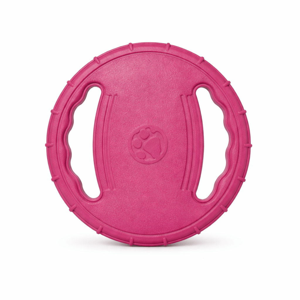 Frisbee pour Chien