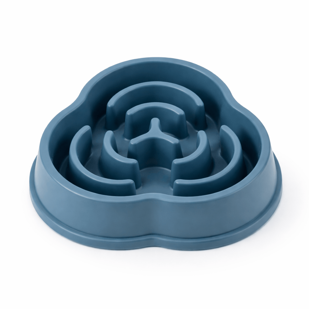 Gamelle Anti Glouton Chien