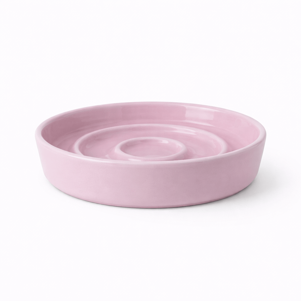 Gamelle Chat Anti Glouton