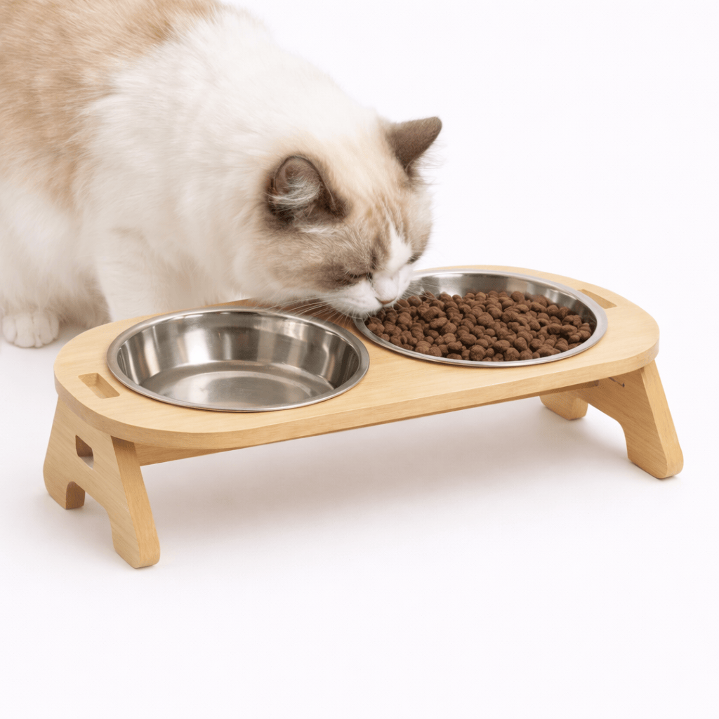 Gamelle Chat Surélevée