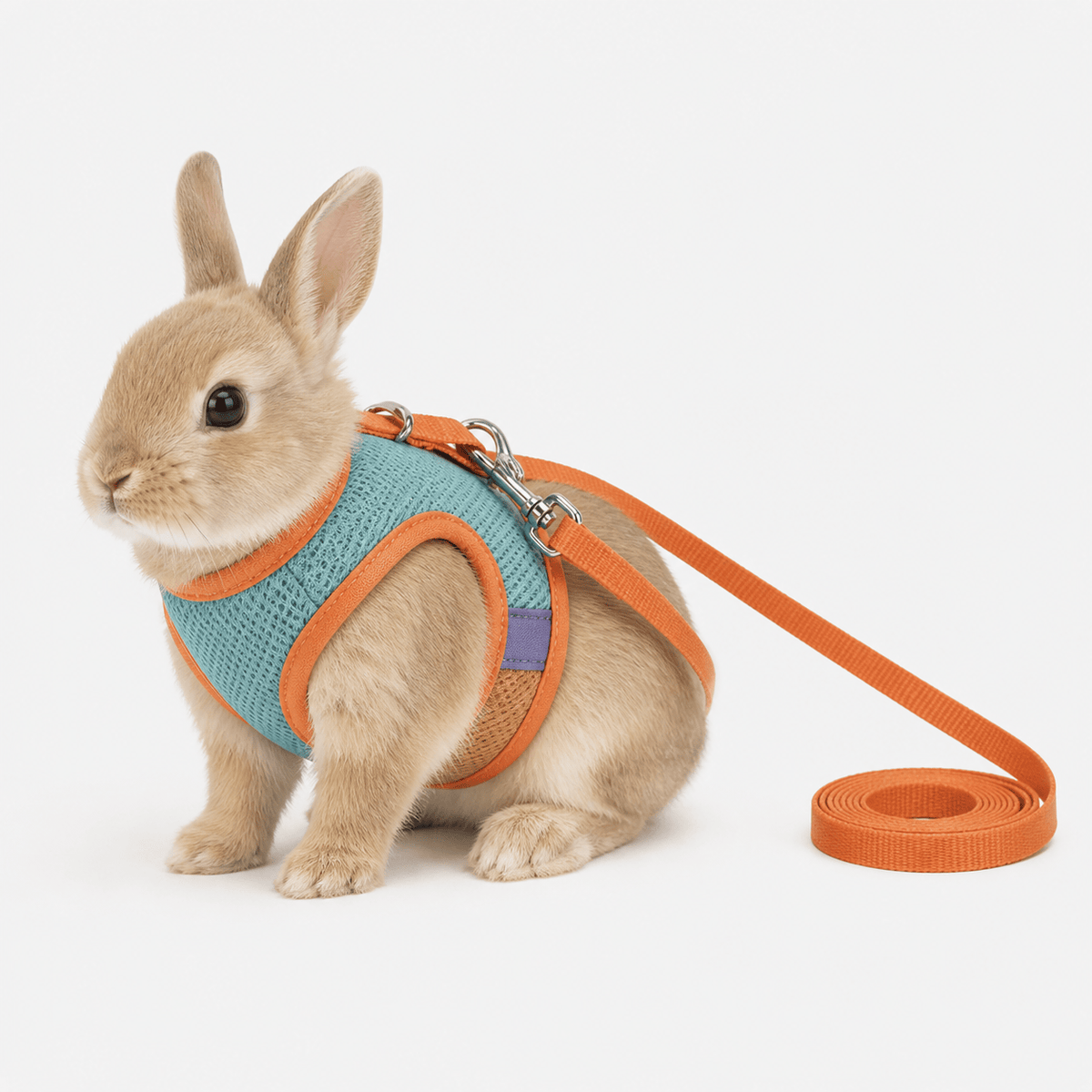 Harnais Lapin Réglable