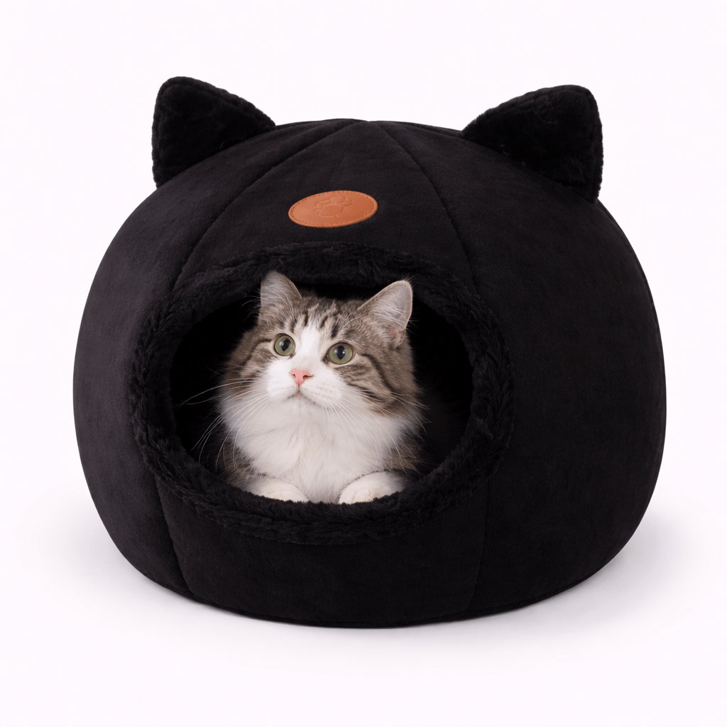 Igloo pour Chat