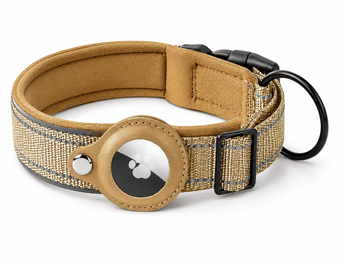 Collier Chien Air-Tag