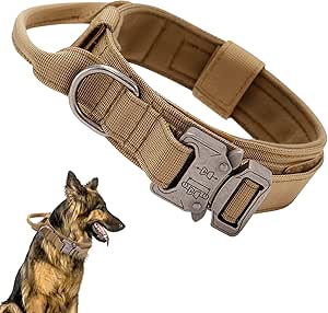 Collier Chien avec Poigné