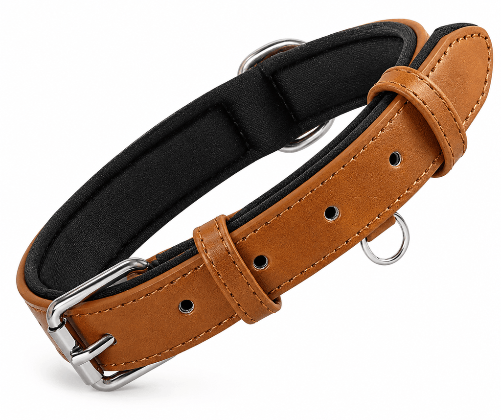 Collier Chien Cuir