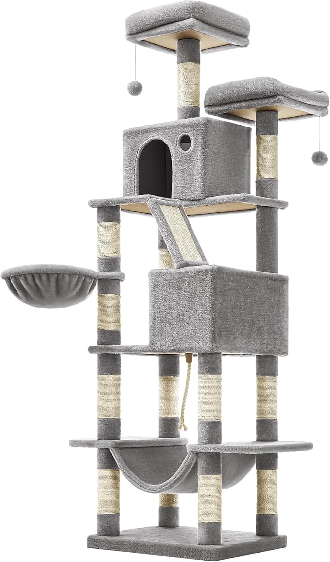 Grand Arbre à Chat