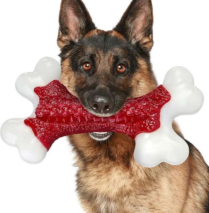 Jouet Os Chien