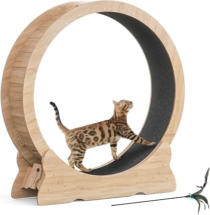 Roue pour Chat Intérieur