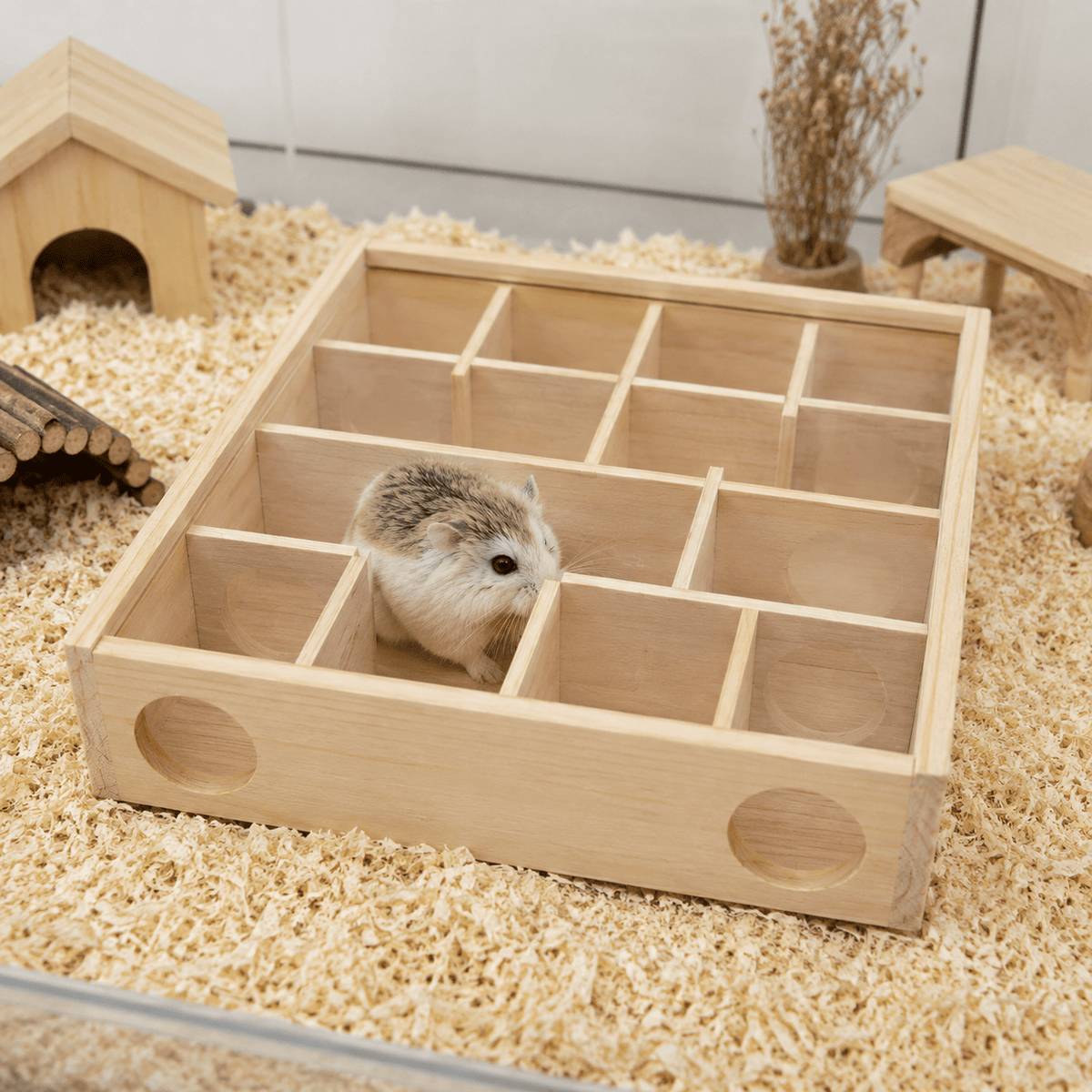 Labyrinthe Modulaire Hamster