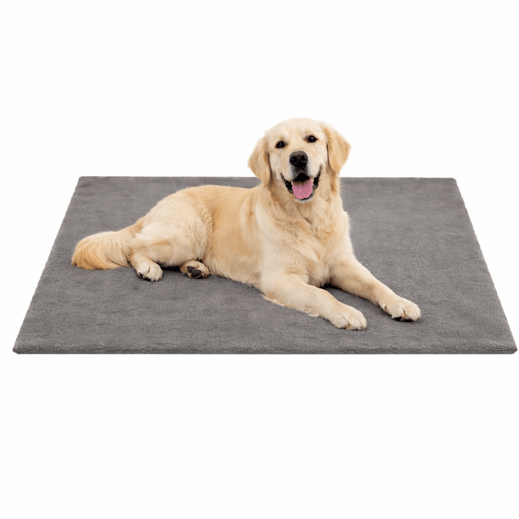Lit Chauffant pour Chien