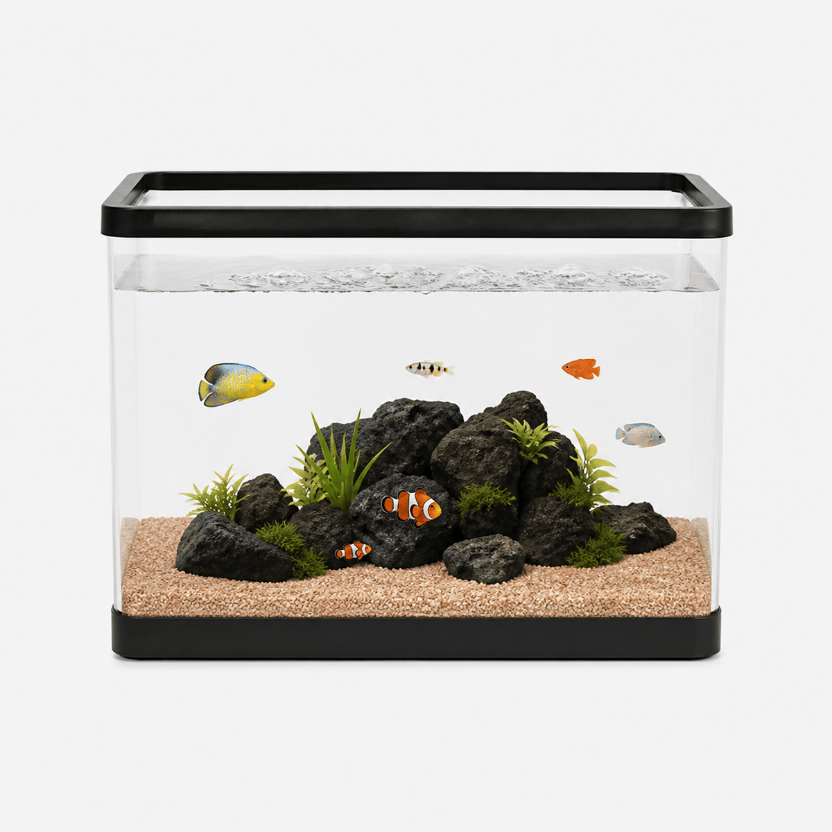 Aquarium Acrylique