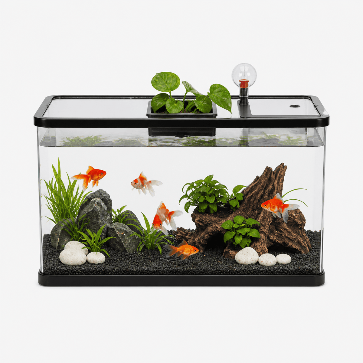 Aquarium Design Moderne