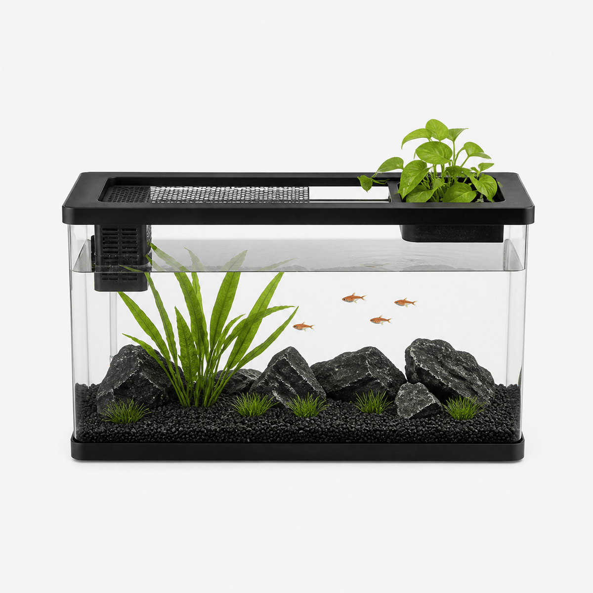 Aquarium Eau Douce