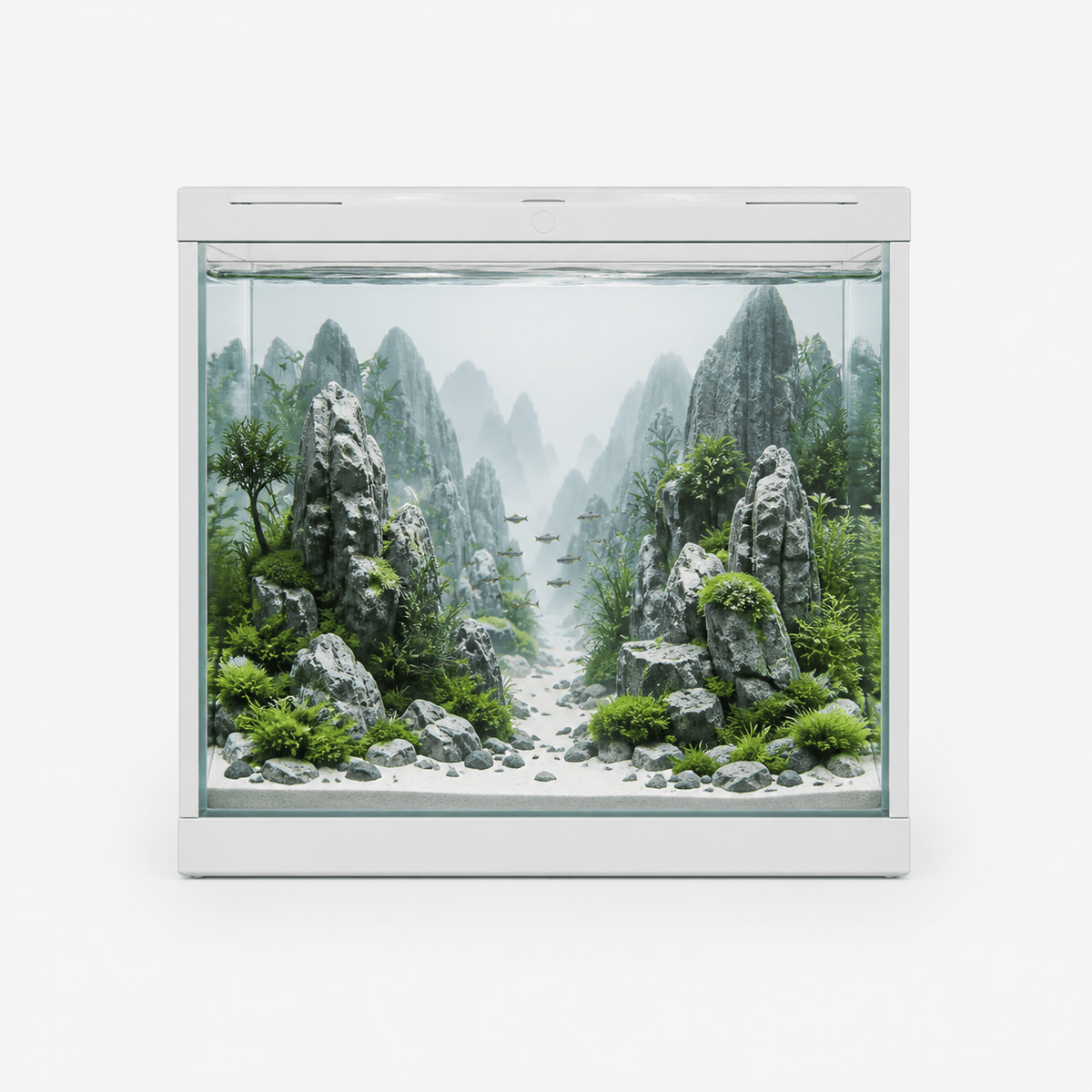 Aquarium Panoramique