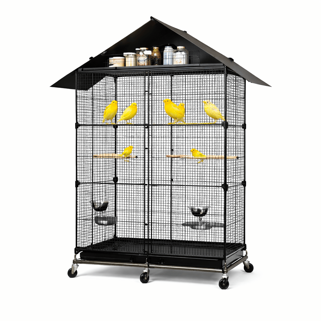 Cage Canaris Spacieuse