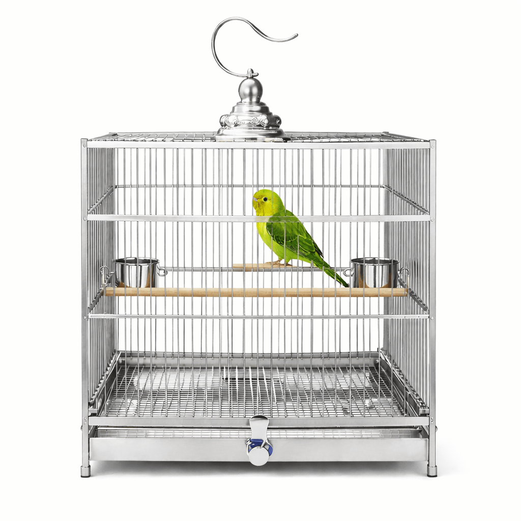 Cage Oiseaux Inox