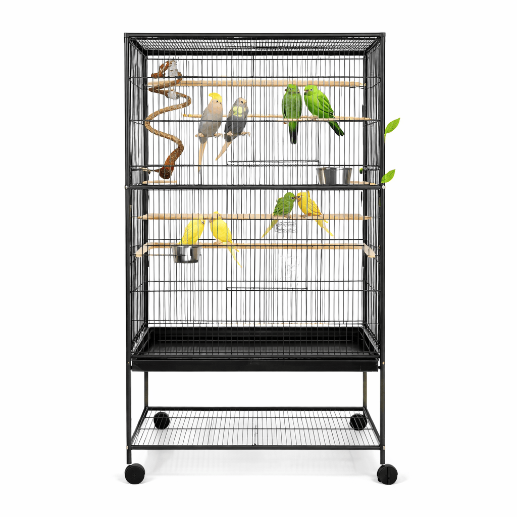 Cage Perruche Équipée