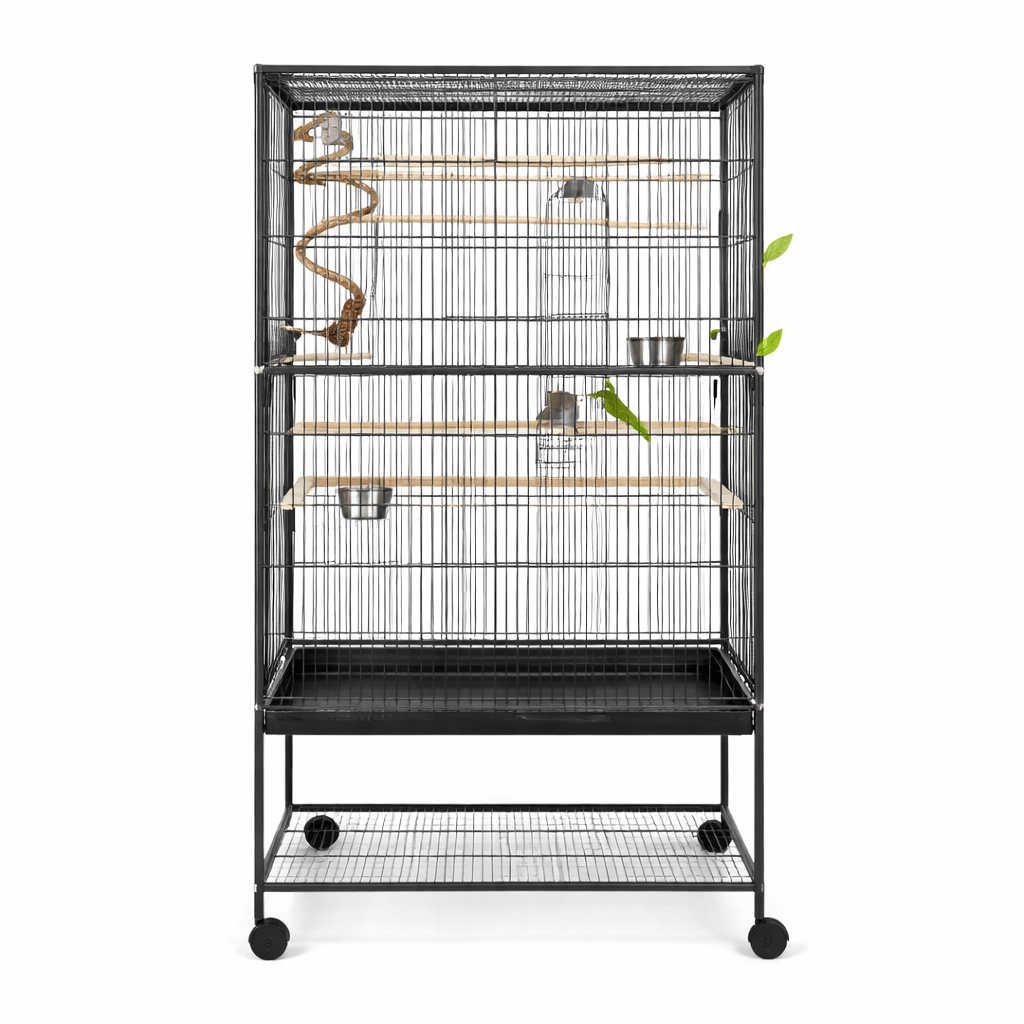 Cage Perruche Équipée