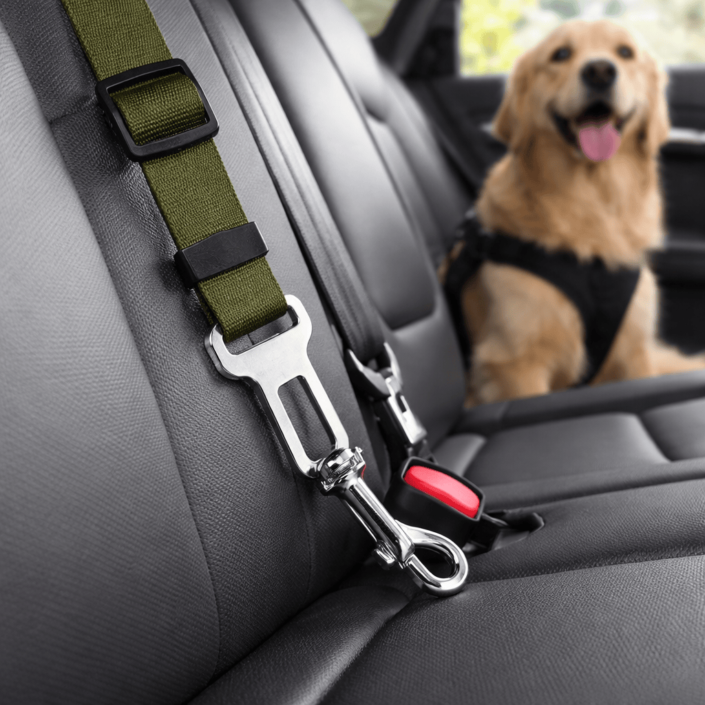 Ceinture de Sécurité Chien