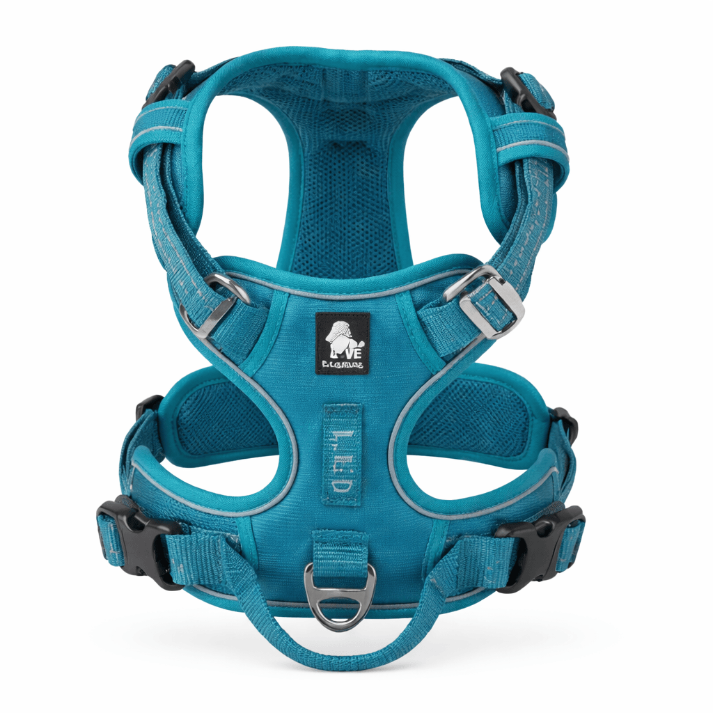 Collier GPS Chien