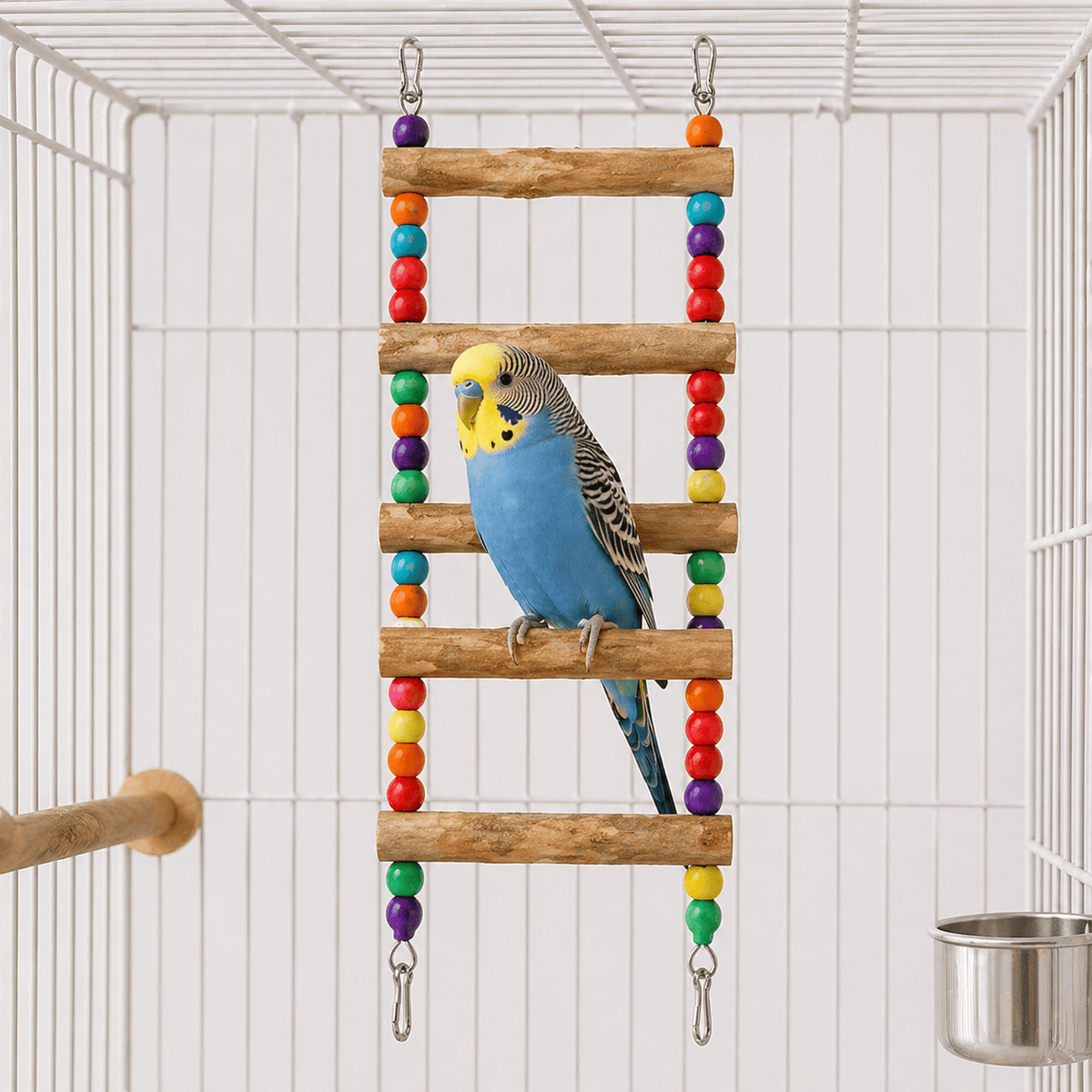 Échelle Oiseaux Colorée