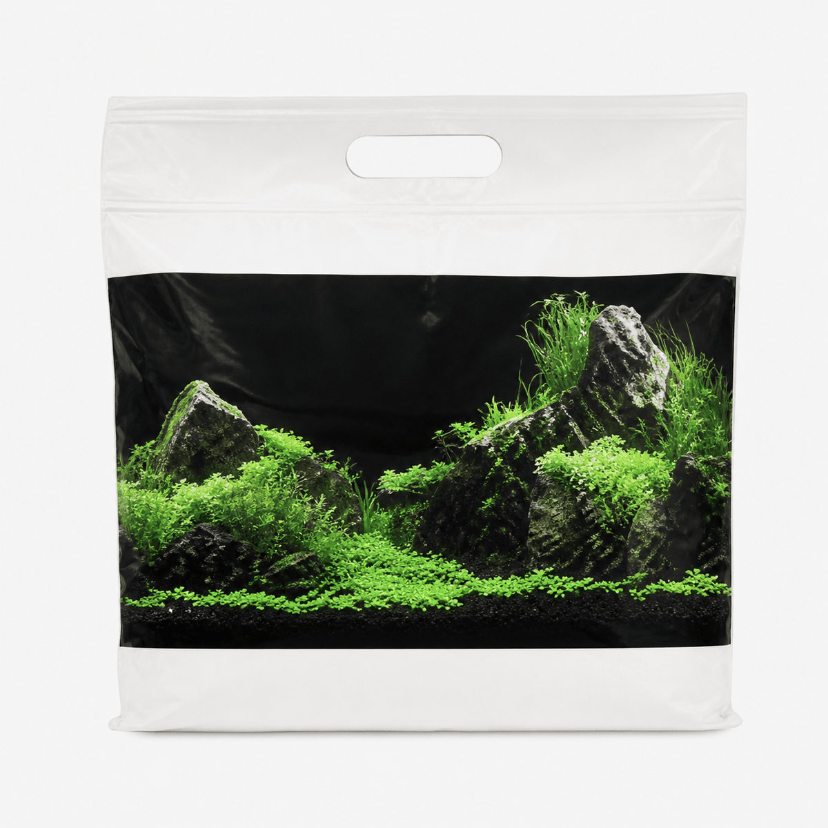 Fond Décoratif Aquarium