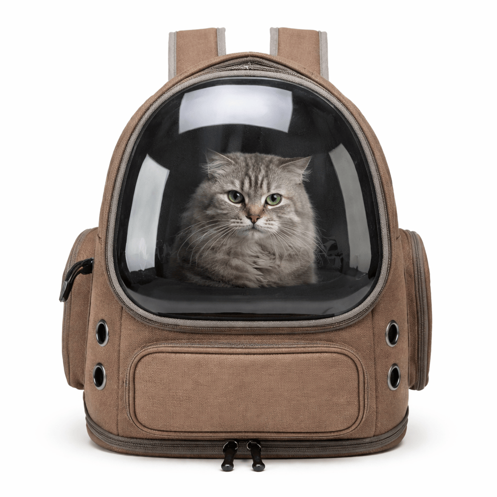 Sac à Dos Transparent Chat