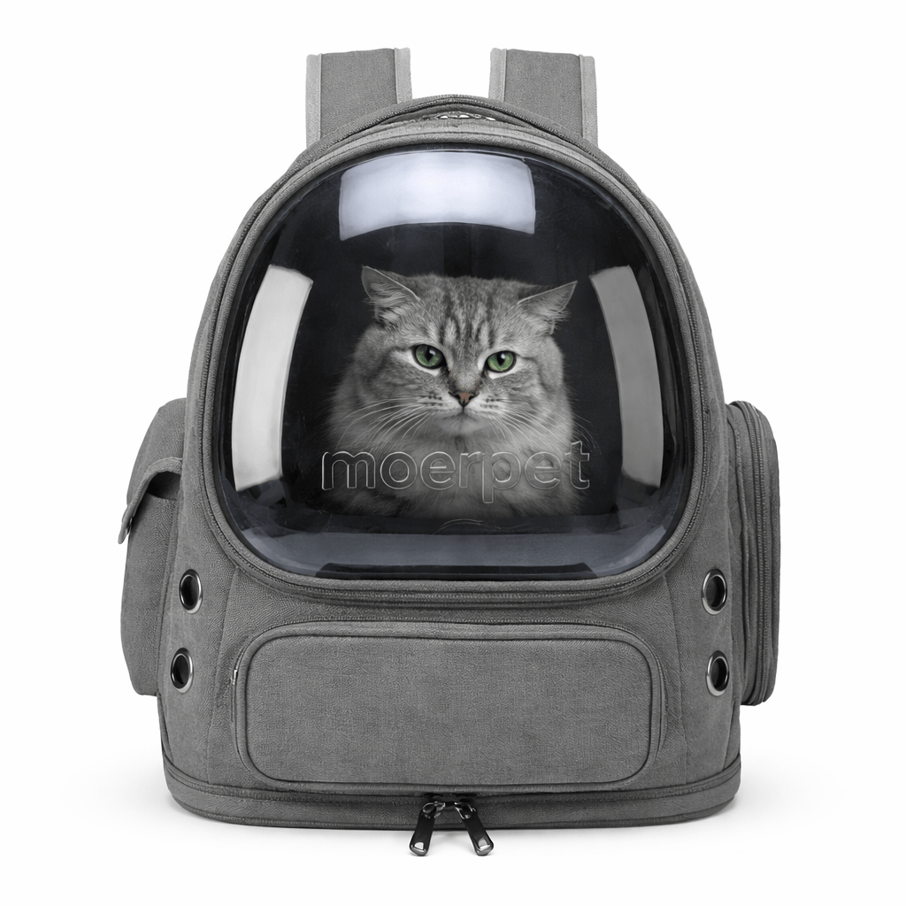 Sac à Dos Transparent Chat