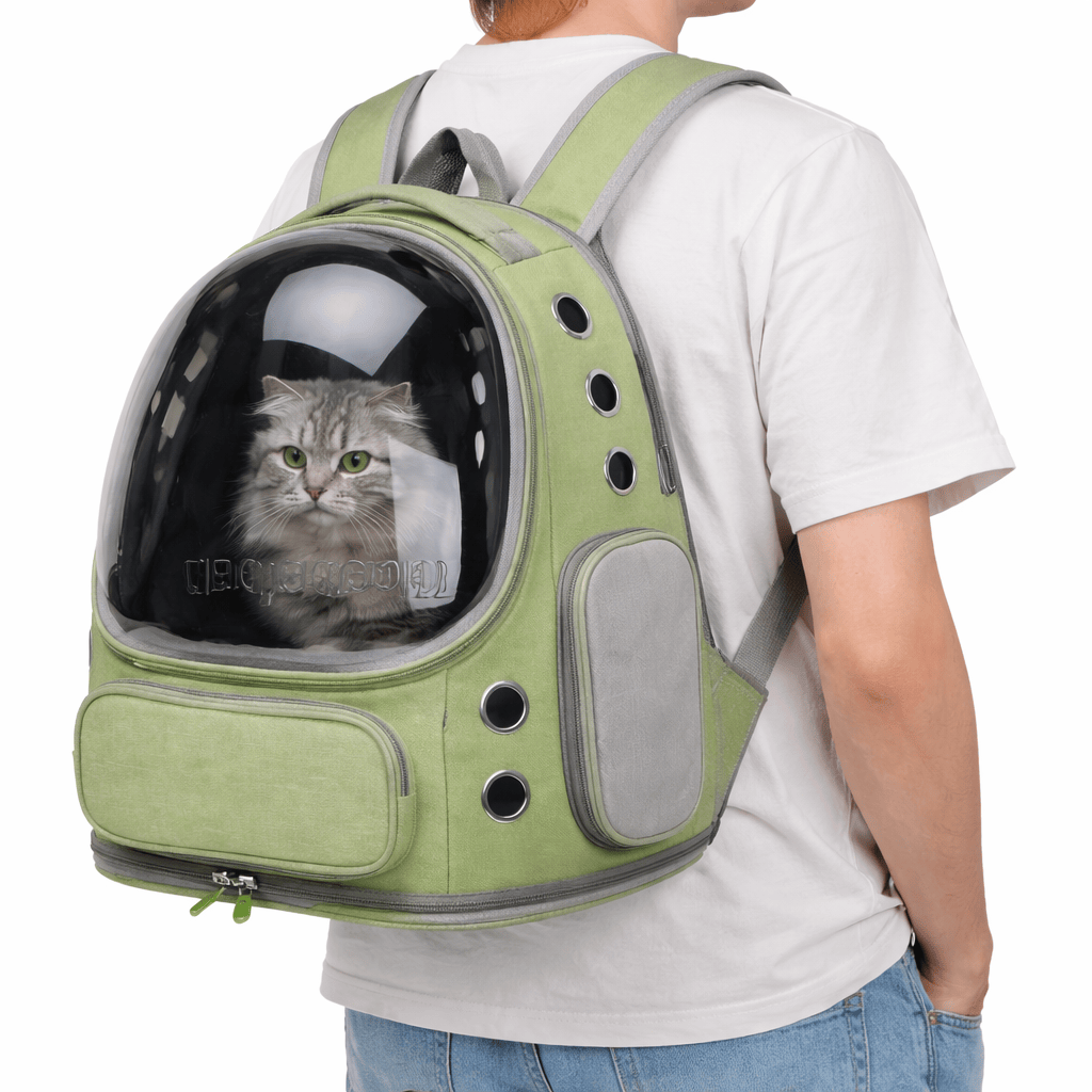 Sac à Dos Transparent Chat