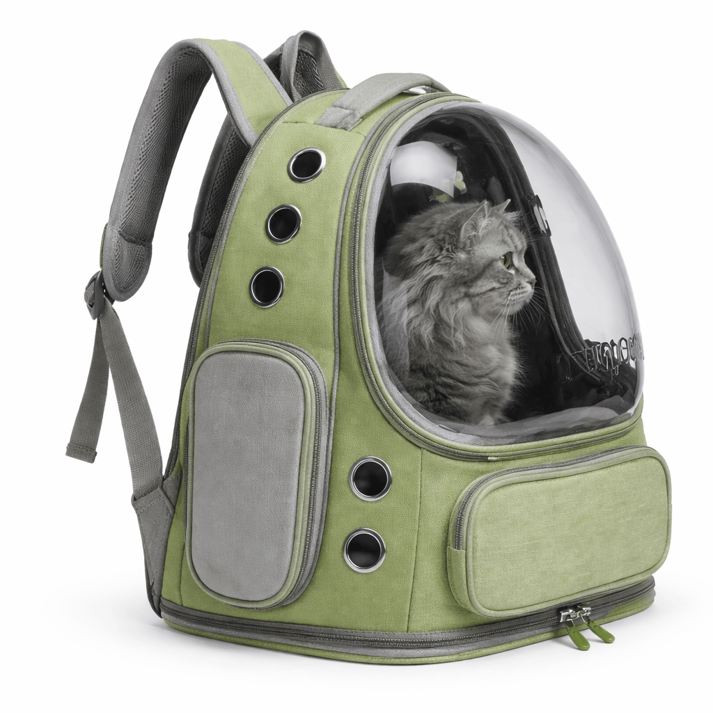 Sac à Dos Transparent Chat