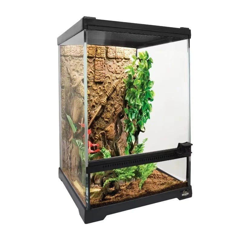 Terrarium Verre Reptiles