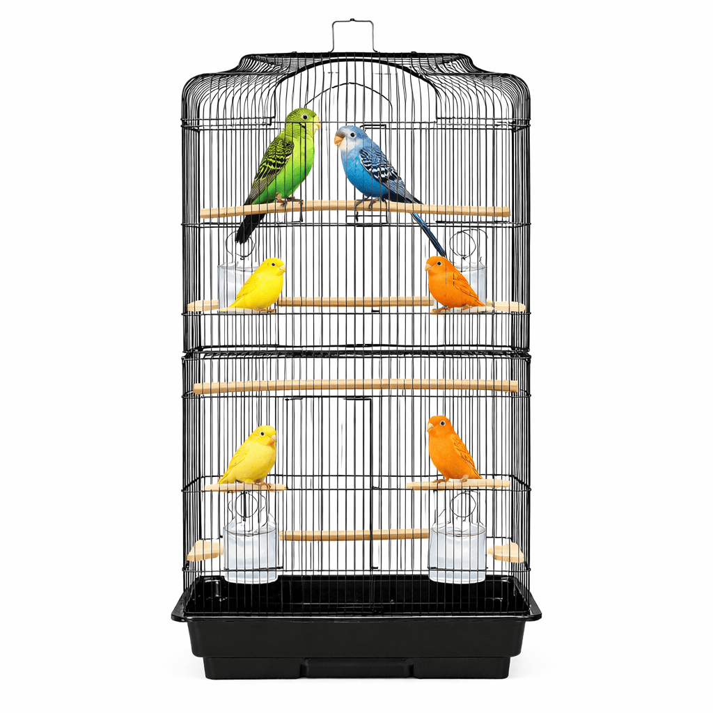 Volière Intérieure Design